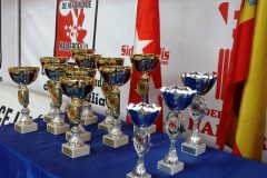 trofeos-scaled