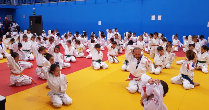 Campeonato de Judo Benjamín por equipos mixtos